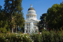 Photo of CA Capitol through the landscape